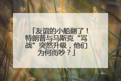 友谊的小船翻了！特朗普与马斯克“骂战”突然升级，他们为何而吵？