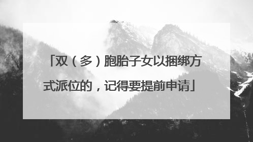 双（多）胞胎子女以捆绑方式派位的，记得要提前申请