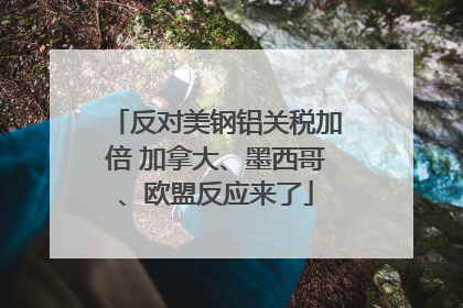 反对美钢铝关税加倍 加拿大、墨西哥、欧盟反应来了