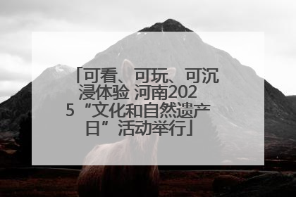 可看、可玩、可沉浸体验 河南2025“文化和自然遗产日”活动举行