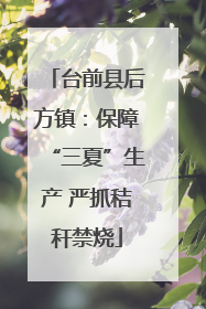 台前县后方镇：保障“三夏”生产 严抓秸秆禁烧