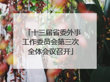 十三届省委外事工作委员会第三次全体会议召开