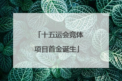十五运会竞体项目首金诞生