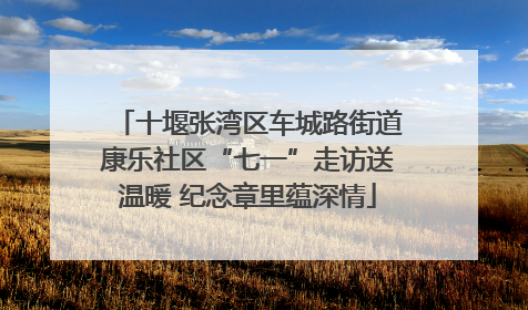十堰张湾区车城路街道康乐社区“七一”走访送温暖 纪念章里蕴深情