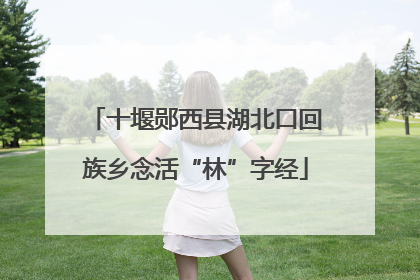 十堰郧西县湖北口回族乡念活“林”字经
