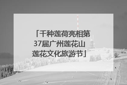 千种莲荷亮相第37届广州莲花山莲花文化旅游节