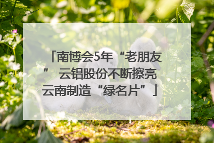 南博会5年“老朋友” 云铝股份不断擦亮云南制造“绿名片”