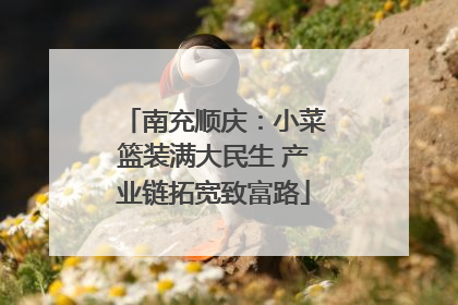 南充顺庆：小菜篮装满大民生 产业链拓宽致富路