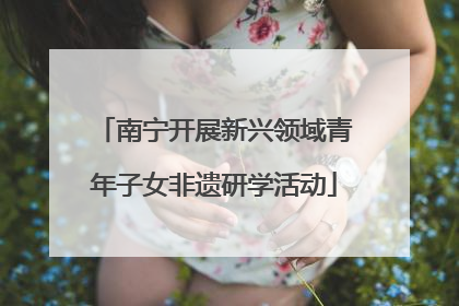 南宁开展新兴领域青年子女非遗研学活动