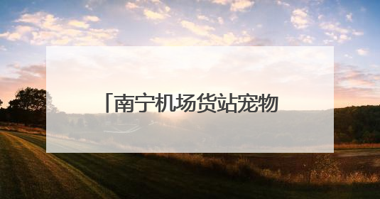 南宁机场货站宠物候机厅正式启用