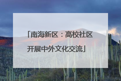 南海新区：高校社区开展中外文化交流