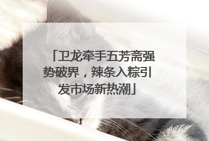 卫龙牵手五芳斋强势破界，辣条入粽引发市场新热潮