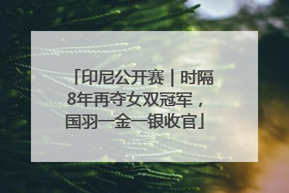 印尼公开赛｜时隔8年再夺女双冠军，国羽一金一银收官