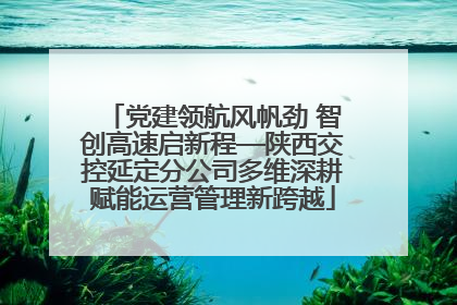 党建领航风帆劲 智创高速启新程—陕西交控延定分公司多维深耕赋能运营管理新跨越