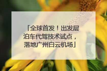 全球首发！出发层泊车代驾技术试点，落地广州白云机场