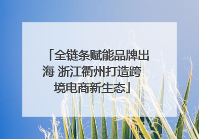 全链条赋能品牌出海 浙江衢州打造跨境电商新生态