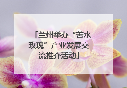 兰州举办“苦水玫瑰”产业发展交流推介活动
