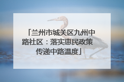 兰州市城关区九州中路社区：落实惠民政策 传递中路温度
