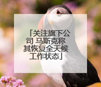关注旗下公司 马斯克称其恢复全天候工作状态