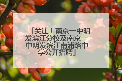 关注！南京一中明发滨江分校及南京一中明发滨江南浦路中学公开招聘