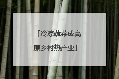 冷凉蔬菜成高原乡村热产业