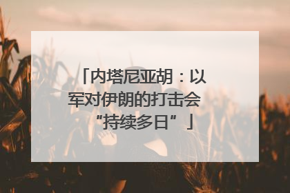 内塔尼亚胡：以军对伊朗的打击会“持续多日”