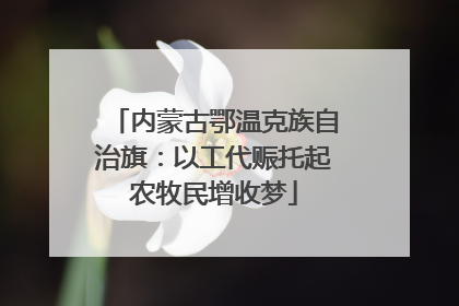 内蒙古鄂温克族自治旗：以工代赈托起农牧民增收梦