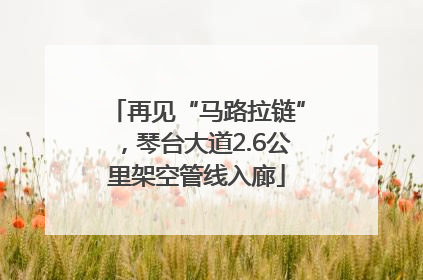 再见“马路拉链”，琴台大道2.6公里架空管线入廊