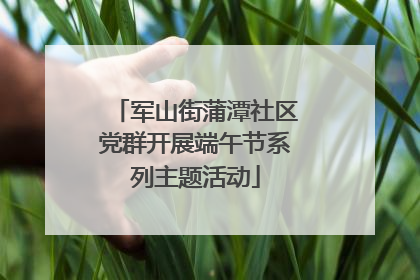 军山街蒲潭社区党群开展端午节系列主题活动