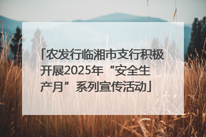 农发行临湘市支行积极开展2025年“安全生产月”系列宣传活动