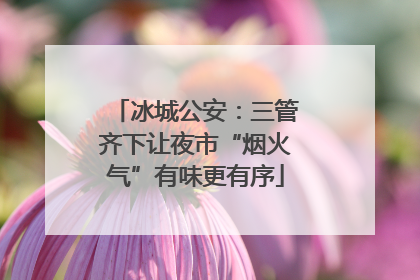 冰城公安：三管齐下让夜市“烟火气”有味更有序