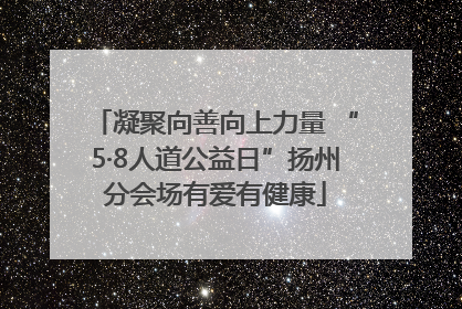 凝聚向善向上力量 “5·8人道公益日”扬州分会场有爱有健康