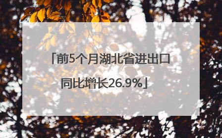 前5个月湖北省进出口同比增长26.9%