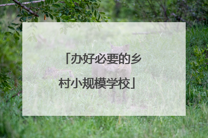 办好必要的乡村小规模学校