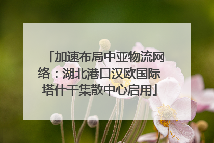 加速布局中亚物流网络：湖北港口汉欧国际塔什干集散中心启用