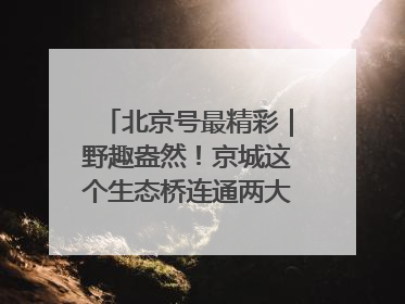 北京号最精彩｜野趣盎然！京城这个生态桥连通两大网红公园