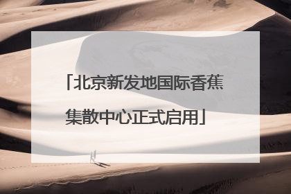 北京新发地国际香蕉集散中心正式启用