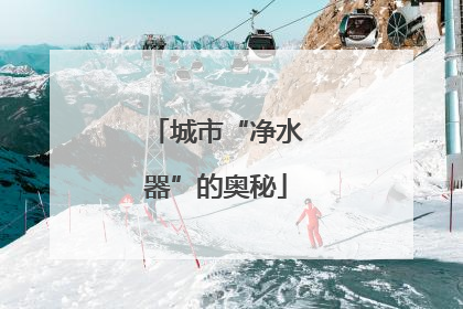 城市“净水器”的奥秘