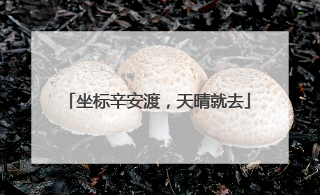 坐标辛安渡，天晴就去