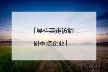吴桂英走访调研重点企业