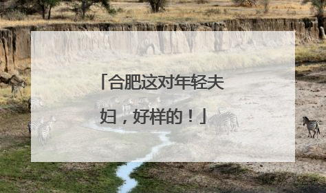 合肥这对年轻夫妇，好样的！