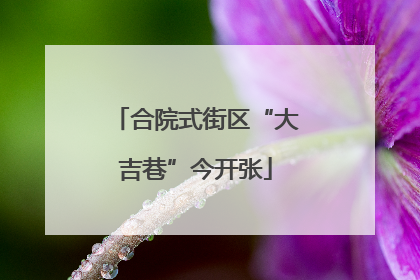 合院式街区“大吉巷”今开张
