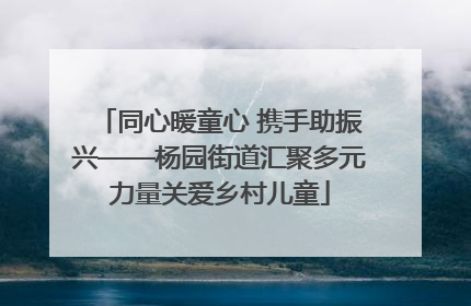 同心暖童心 携手助振兴——杨园街道汇聚多元力量关爱乡村儿童