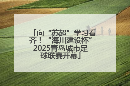向“苏超”学习看齐！“海川建设杯”2025青岛城市足球联赛开幕