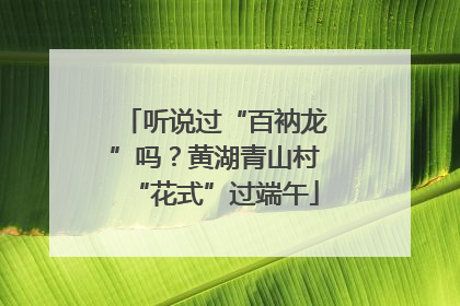 听说过“百衲龙”吗？黄湖青山村“花式”过端午