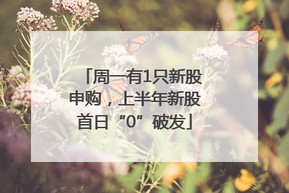 周一有1只新股申购，上半年新股首日“0”破发