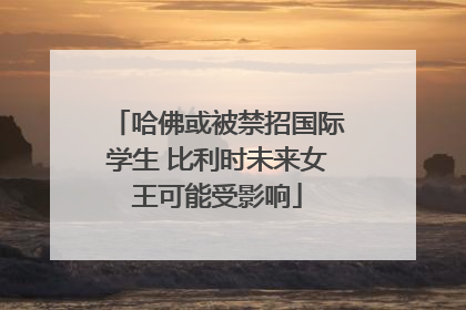 哈佛或被禁招国际学生 比利时未来女王可能受影响