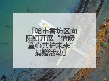 哈市香坊区向阳镇开展“情暖童心共护未来”捐赠活动