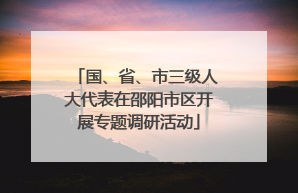 国、省、市三级人大代表在邵阳市区开展专题调研活动