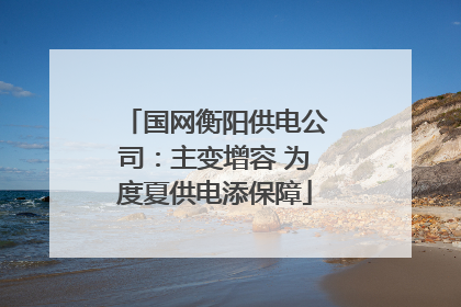 国网衡阳供电公司：主变增容 为度夏供电添保障